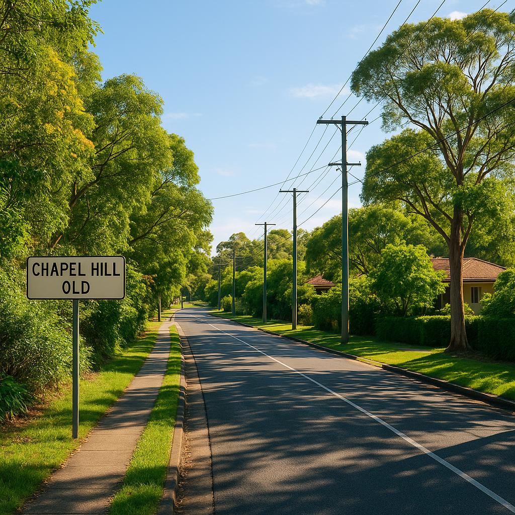 Scenic street view of Chapel Hill suburb
