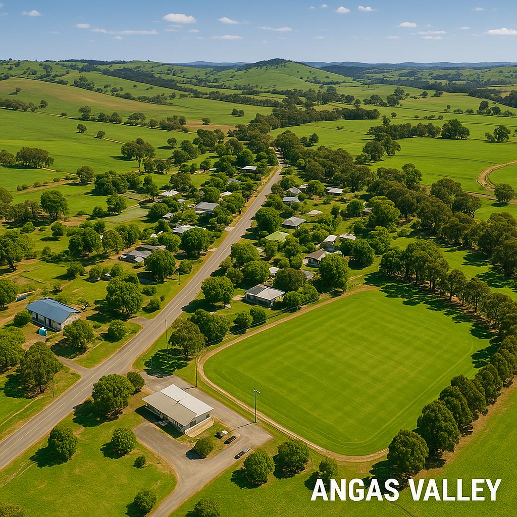 Aerial view of Angas Valley with lush landscapes