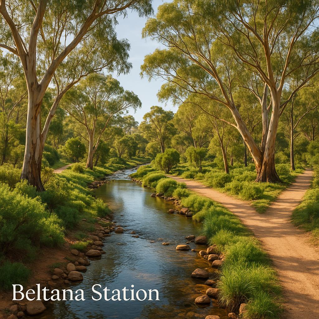 Creekside view in Beltana Station