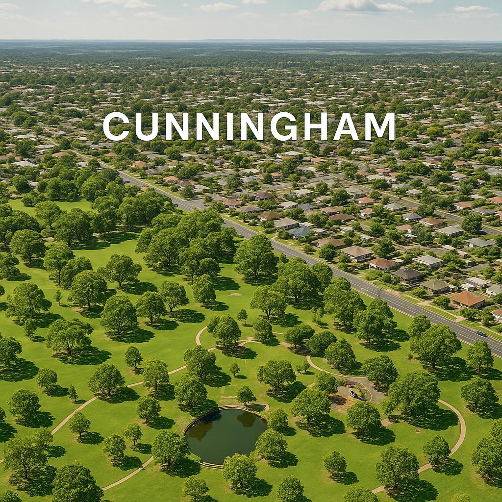 Cunningham suburb aerial view